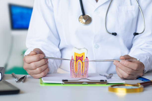Best Emergency Denture Repair in Hughes Springs, TX
